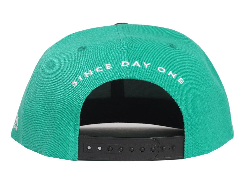 TEAL Canada Fly Snapback